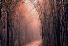 九游会：中国男篮归化之路：提升实力，力克日本队的希望.