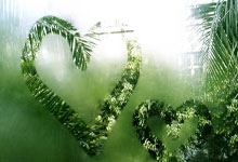 九游会：再战萨巴伦卡！0胜5负，对不起，郑钦文志在翻越.