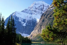 澳网夺冠，辛纳拿下第三个大满贯环球时报.